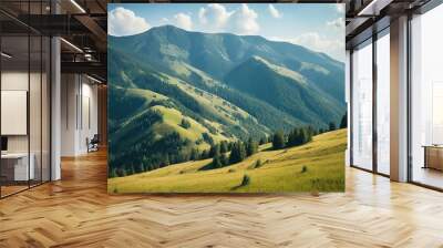 landscape in summer Wall mural