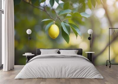 lemons on tree Wall mural