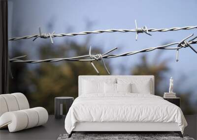 barbed wire close up Wall mural