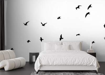 png flock of birds silhouette isolated on clear background	 Wall mural