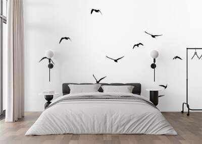 png flock of birds silhouette isolated on transparent clear background	 Wall mural