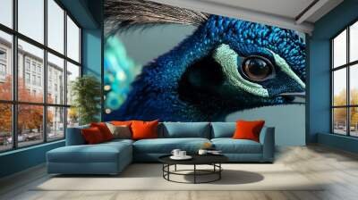 Peacock head close-up with vibrant feather detail Wall mural