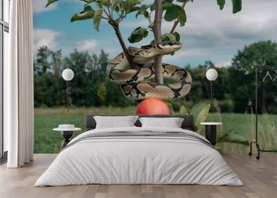 A snake coiled around the trunk of an apple tree. At the base of the tree, there is a red apple. The background is a lush greenfield. There is a blue sky with white clouds above. Wall mural