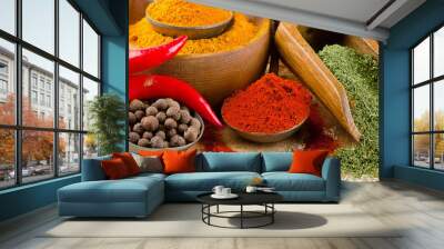 colourful  ground spices Wall mural