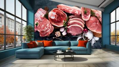 Different types of raw meat on black background Wall mural