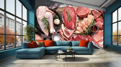 Different types of raw meat Wall mural