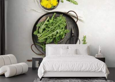 Fresh dandelion on light background. Wall mural