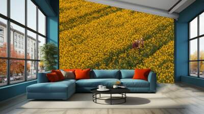 Aerial view of two farmers, man and woman, working in blooming rapeseed field Wall mural