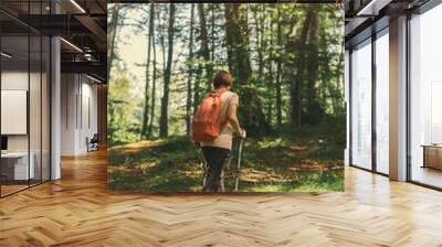 Female hiker is trekking on footpath in forest Wall mural