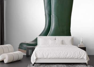 green rubber boots on white background Wall mural