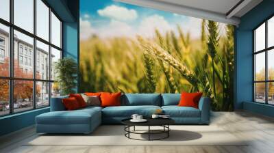 Green wheat growing in cultivated field Wall mural