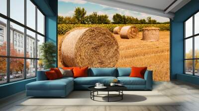 Round wheat hay bales drying in field stubble after harvest Wall mural