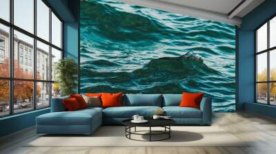 Sea agitation, small ocean wave on windy summer day Wall mural