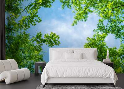 Under the lush green treetop in spring morning, beautiful scenic background of tree and branches with leaves Wall mural