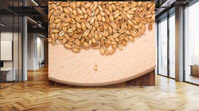 Wheat grains Wall mural