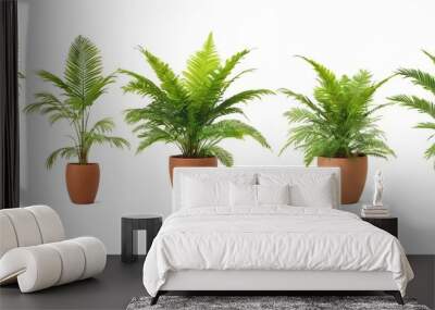 a row of potted plants in different colors Wall mural