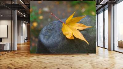 Single yellow maple autumn leaf on stone texture background. concept of happy heart autumnal. Wall mural