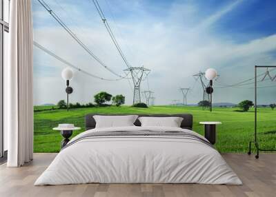 energy and high voltage powerline Wall mural