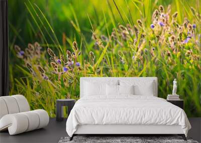 spring flowers in the grass Wall mural