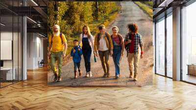 A heartwarming scene unfolds as a multiethnic group of friends comes together for a joyful day amidst the beauty of a rural landscape. In this diverse gathering, a mother holds her child's hand, and Wall mural