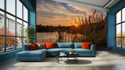 A serene lake reflecting a beautiful sunset with tall grass in the foreground and a colorful sky in the background Wall mural