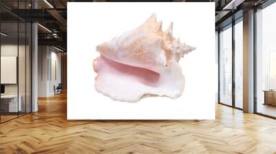 large pink queen conch seashell isolated on white background Wall mural