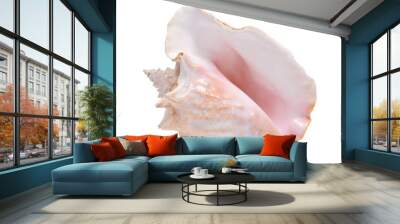 large pink queen conch seashell isolated on white background Wall mural