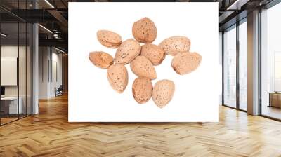 Raw organic almonds in shell isolated on white background Wall mural