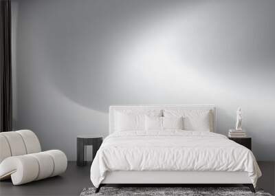 Abstract white and gray gradient background, shadow and highlight pattern. Vector illustration. Wall mural