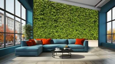 Green plant wall background Wall mural