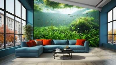 Aquarium light Wall mural