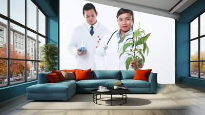 Doctors researching for a medicine Wall mural