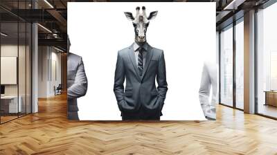 Set of creative animal head in business suit and standing posing, chicken, giraffe, horse, Contemporary art idea concept design, isolated on white and transparent background, ai generate Wall mural