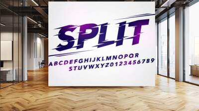 Vector Illustration Split Grunge Typography. Font For Sport Or Racing Wall mural