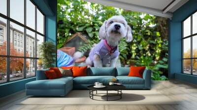 Two white poodles sit with their heads bowed on a stone table in the garden, looking sad. Wall mural