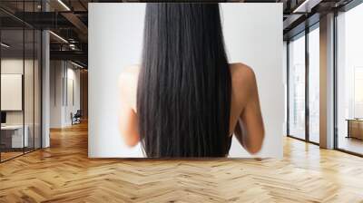 Woman with beautiful long straight black hair. Wall mural