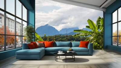  blue mountain in forest Wall mural