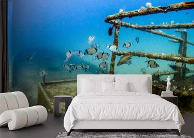 Shipwreck scenery underwater,  deep blue water ocean scenery of metal underwater. Wall mural