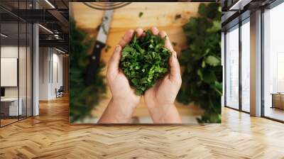 Female hands with handful of chopped coriander leaves Wall mural