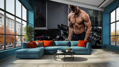 Muscular guy training his arms Wall mural