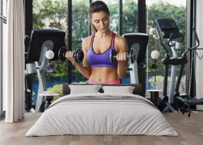 Woman working out with dumbbells in gym Wall mural