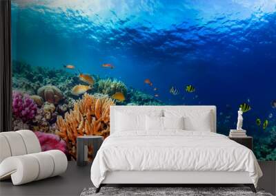  Underwater coral reef landscape super wide banner background in the deep blue ocean  Wall mural