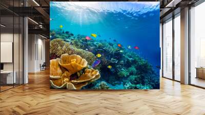  Underwater coral reef landscape super wide banner background in the deep blue ocean  Wall mural