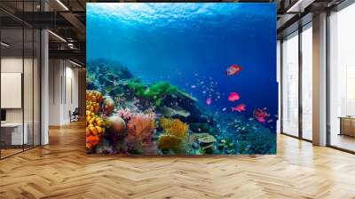  Underwater coral reef landscape super wide banner background in the deep blue ocean  Wall mural