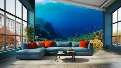  Underwater coral reef landscape super wide banner background in the deep blue ocean  Wall mural