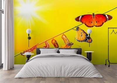 A farm for butterflies, pupae and cocoons are suspended. Concept transformation of Butterfly Wall mural