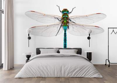 Extreme macro  shots, dragonfly wings detail. isolated on a white background. Wall mural