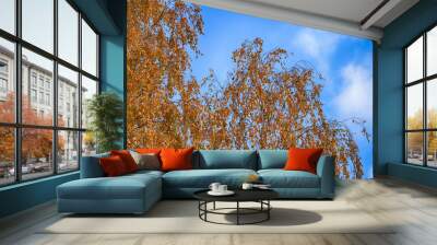 Beautiful autumn forest Wall mural