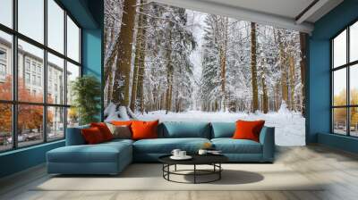 Beautiful winter forest in sunny weather. Wall mural