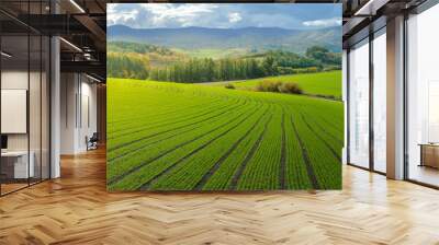 Landscape of Countryside Hills with Rice Field Farm, Forest and Mountain in Early Fall Autumn Season, Nature Patchwork Scenery Wall mural